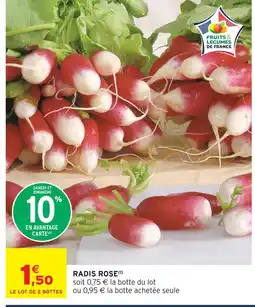 Intermarché Radis rose offre