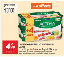 Netto Danone activia yaourt aux probiotiques aux fruits panachés offre