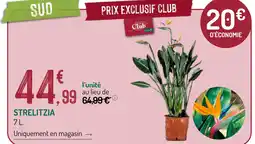 Botanic Strelitzia offre