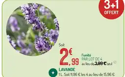 Botanic Lavande offre