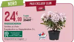 Botanic Rhododendron offre