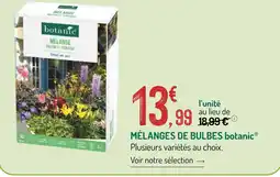 Botanic Botanic mélanges de bulbes offre