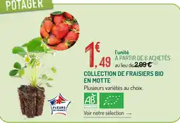 Botanic Collection de fraisiers bio en motte offre