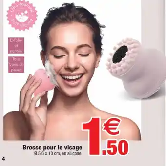 Brosse pour le visage