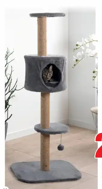 Bazarland L'arbre à chat multipositions offre