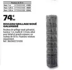 Brico Dépôt Maille - rouleau grillage noue galvanise offre