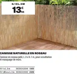 Brico Dépôt Canisse naturelle en roseau offre