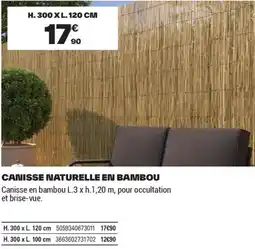 Brico Dépôt Canisse naturelle en bambou offre