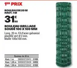 Brico Dépôt Maille - rouleau grillage offre