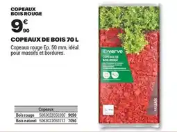Brico Dépôt Copeaux de bois 70 l offre