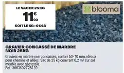 Brico Dépôt Blooma - gravier concassé de marbre noir offre