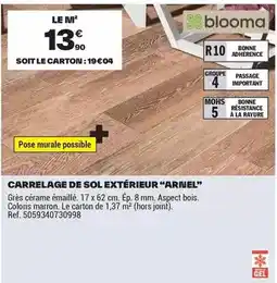 Brico Dépôt Blooma - carrelage de sol extérieur offre