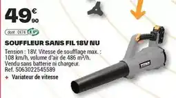 Brico Dépôt Titan - souffleur sans fil 18v nu offre