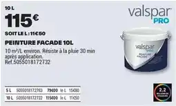 Brico Dépôt Valspar - peinture offre