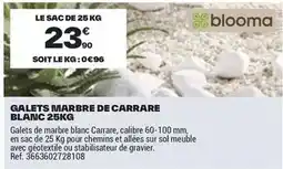Brico Dépôt Blooma - galets marbre de carrae blanc offre