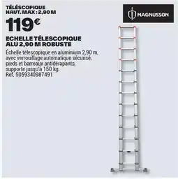 Brico Dépôt Magnusson - téléscopique offre