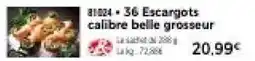Thiriet 36 Escargots calibre belle grosseur offre