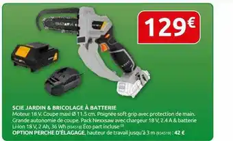 Rural Master Scie Jardin & Bricolage à Batterie offre