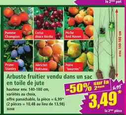 Norma Arbuste fruitier vendu dans un sac en toile de jute offre