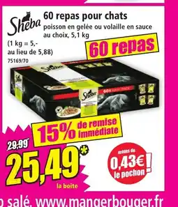Norma SHEBA 60 repas pour chats offre