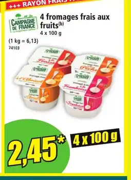 Norma CAMPAGNE DE FRANCE 4 fromages frais aux fruits offre