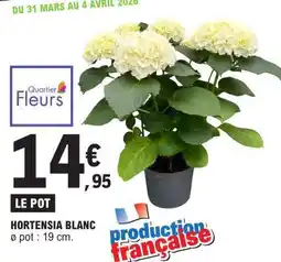 E.Leclerc HORTENSIA BLANC offre