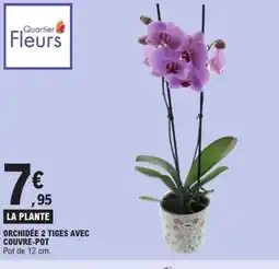 E.Leclerc Orchidée 2 tiges avec couvre-pot offre