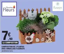 E.Leclerc Composition de 2 plantes avec emballage fleuriste offre