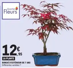 E.Leclerc Bonsaï d'extérieur de 7 ans offre