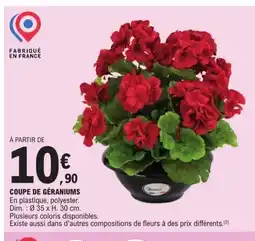 E.Leclerc Coupe de géraniums offre