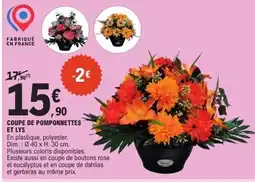 E.Leclerc Coupe de pomponnettes et lys offre