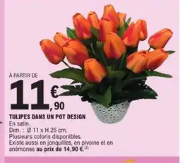 E.Leclerc Tulipes dans un pot design offre