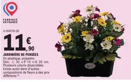E.Leclerc Jardinière de pensées offre