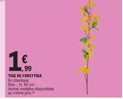 E.Leclerc Tige de forsythia offre
