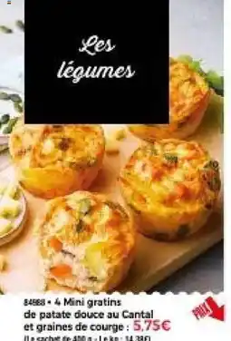 Thiriet 4 mini gratins de patate douce au cantal et graines de courge offre