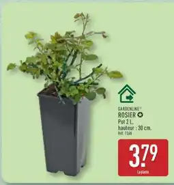 ALDI Rosier offre