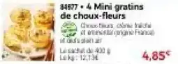 Thiriet 4 Mini gratins de choux-fleurs offre