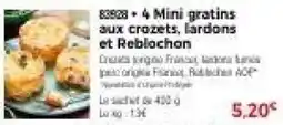 Thiriet 4 mini gratins aux crozets, lardons et reblochon offre
