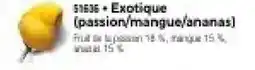 Thiriet Exotique passion,mangue,ananas. offre