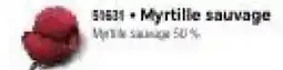 Thiriet Myrtille sauvage offre