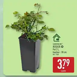ALDI GARDENLINE Rosier offre
