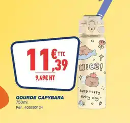 Bureau Vallée Gourde capybara offre