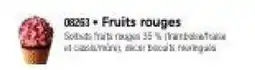 Thiriet Fruits rouges offre