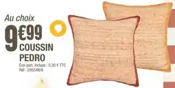 La Foir'Fouille Coussin pedro offre