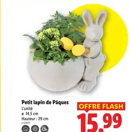 Lidl Petit lapin de pâques offre
