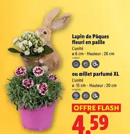Lidl Lapin de pâques fleuri en paille offre