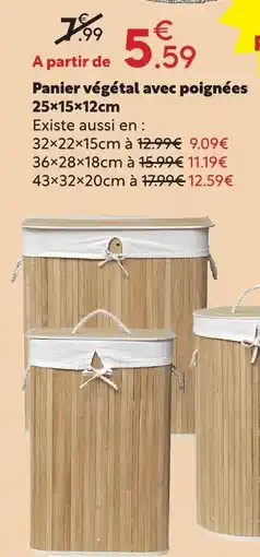 Maxi Bazar Panier végétal avec poignées offre