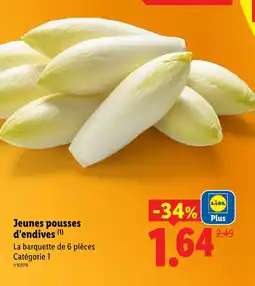 Lidl Jeunes pousses d'endives offre