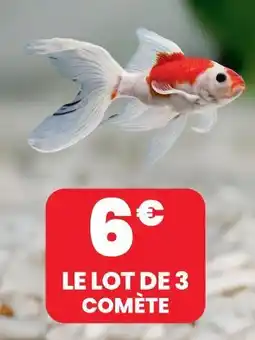 Animalis Le lot de 3 comète offre