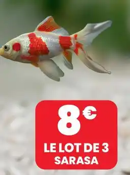 Animalis Le lot de 3 sarasa offre